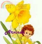 Arxinda - Fairy Narcisus