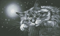 Cat under moon by Stitch shop XSD