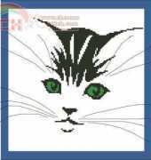 cat face