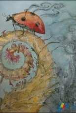 HAED - HAESL 195524 Ladybird by Stephanie Pui-Mun Law