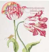 DMC FCE-0816 Tulips