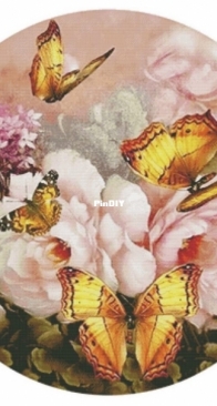 Butterflies by Elena Petrova