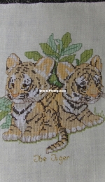 Two Tiger cubs.