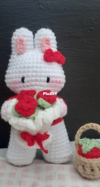 cottontail