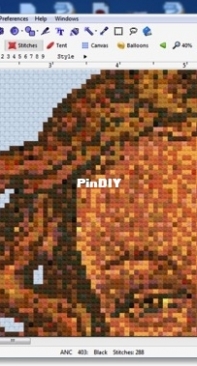Looking for cracked version of WinStitch Software