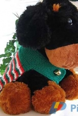 Holiday Dog Capelet by Kathy North -Free