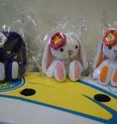 bunnys