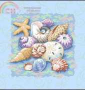 Dimensions 13725 Shells on Blue XSD