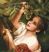 Solaria Gallery - Grape gatherer XSD