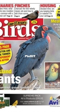 Cage and Aviary Birds - Issue 6417 - 06 May 2026
