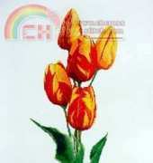 Silver Lining - SL123 Rembrandt tulips