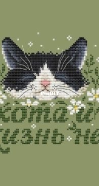 Racoonandfox - Without a cat, life is not the same by Natalia Shirokikh