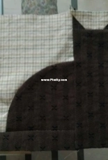 New cat project