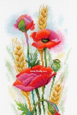 M.P. Studio A-021 - Poppy Charm XSD