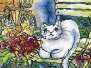 RTO M471 White Cat