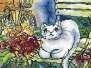 RTO M471 White Cat