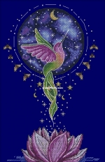 Humming Bird by Nadezhda Kazarina / Nadi xsd