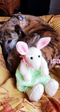 bunny  lovey with flat belly