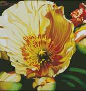 I LOVE CrossStitch - JH-024 Poppies Jennifer Harmes