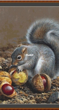 Amelka Elenka - 00510 - Squirrel