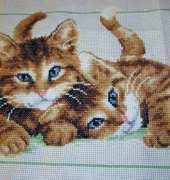 Cats