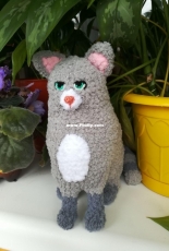 Cat Chloe