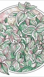 Tradescantia by Alisa Okneas xsd