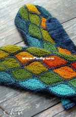 Svetlana Gordon,Winter Story Mittens