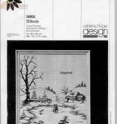 OOE 56902 - Skating at the Pond