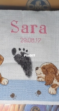Sara´s birth record