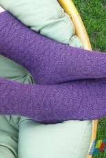 Dreams in Fiber - Erica Lueder - Nevilles Socks by Erica Lueder -Eng,French-Free