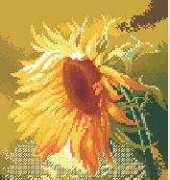 Charivna Mit 408 Sunflower