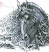 HAED HAEAS 1234 Seahorse  by Adele Sessler