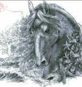 HAED HAEAS 1234 Seahorse  by Adele Sessler
