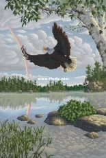 Eagle by Ekaterina Meshkova / Екатерина Мешкова