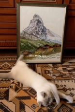 Eva Rosenstand (12-913) - Alpine Retreat