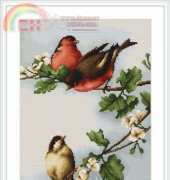 Luca-S B216 Birds