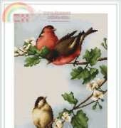 Luca-S B216 Birds