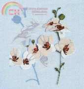DMC BK653 Oriental Orchid