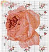 Hélène Le Berres - Valentine Roses