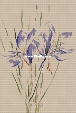 Marie-Therese Saint-Aubin MTSA Saffron