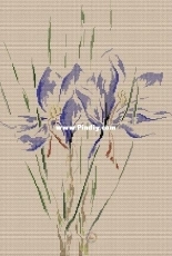 Marie-Therese Saint-Aubin MTSA Saffron