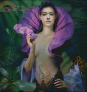 HAED HAEDRZ 114 Purple Orchid by Drazenka Kimpel XSD