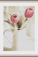 Tulips by Inna Baydenko / Baidenko Инна Байденко