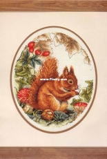 Anchor PCE827 - Squirrel