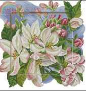 Apple Blossoms from Wonderful Moments May-June 2009