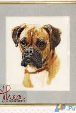Thea Gouverneur 933 - Dog