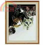 Janlynn #13-249 - Cats Eyes