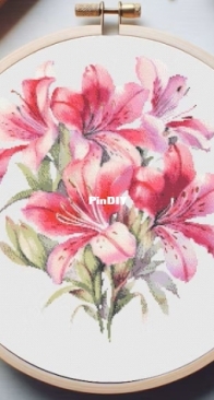 Pinn Inn - Alstroemeria