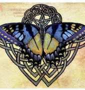 HAED HAEARQS 1411 QS Celtic Butterfly One by Amanda Robinson